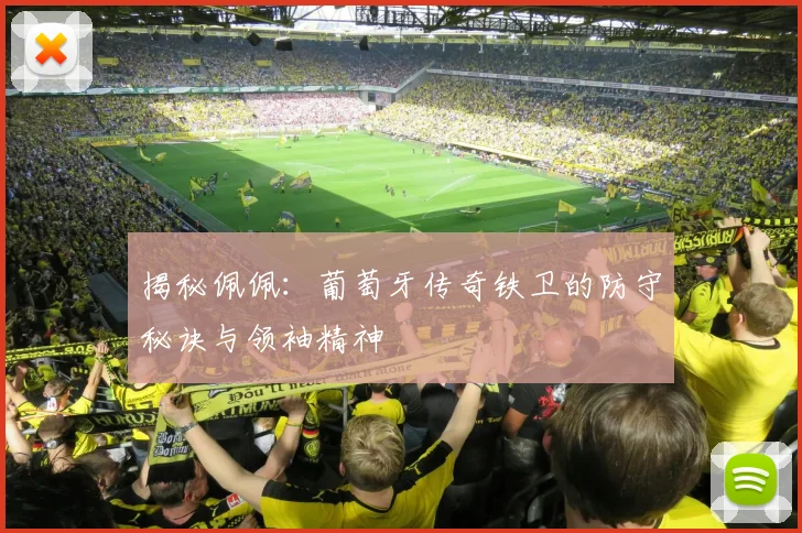 揭秘佩佩：葡萄牙传奇铁卫的防守秘诀与领袖精神